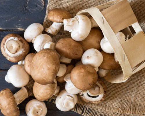 Ciupercile, cum sa le folosesti pentru detoxifiere?